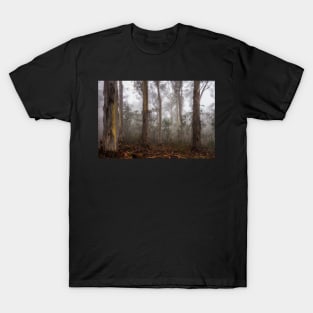 Eucalypt forest in fog, Victorian High Country, Australia T-Shirt